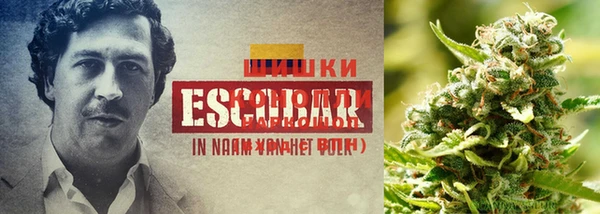 соль курить ск Майский