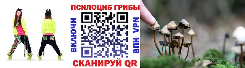 Псилоцибиновые грибы прущие грибы  Кашин 